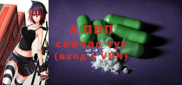 стаф Ростов