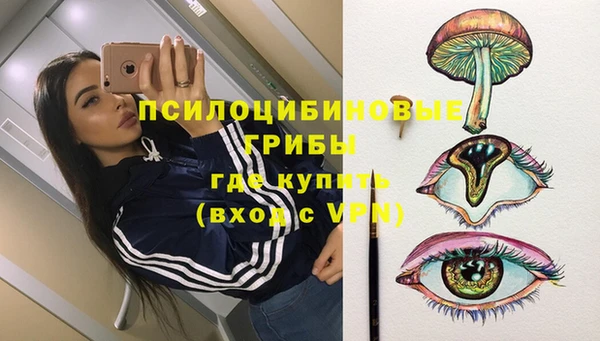 МДПВ Абдулино