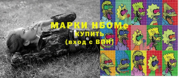 стаф Ростов